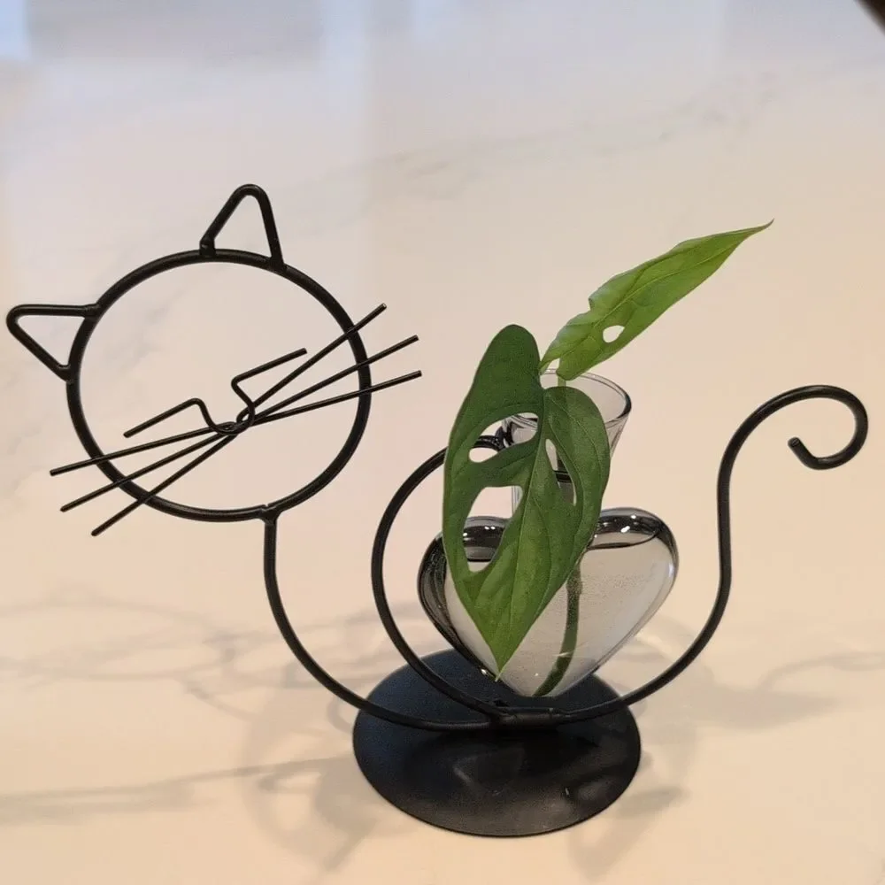 Black Wire Cat Hydroponic Desktop Smoky Glass Flower Vase Holder